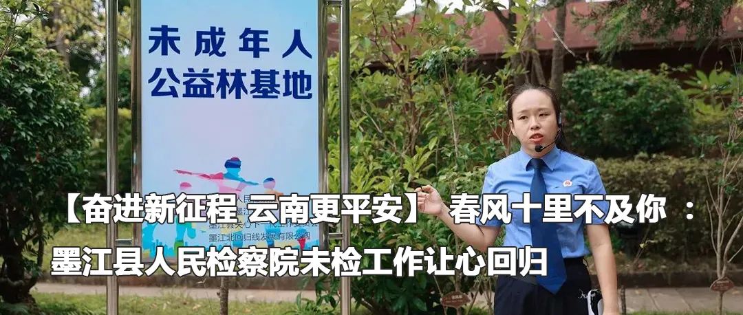 云南政法