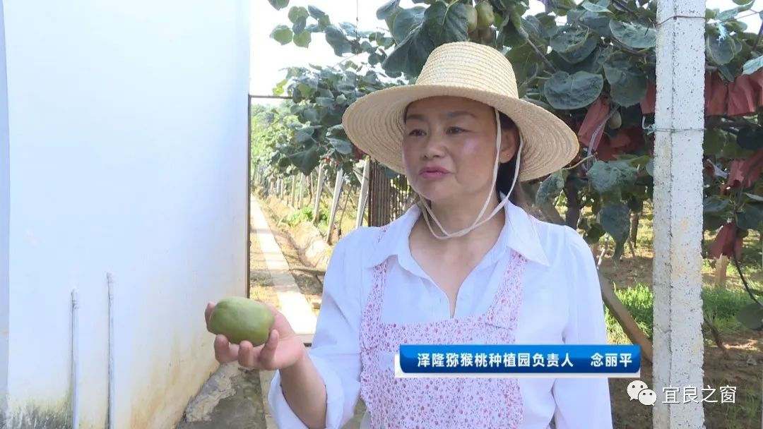 宜良之窗