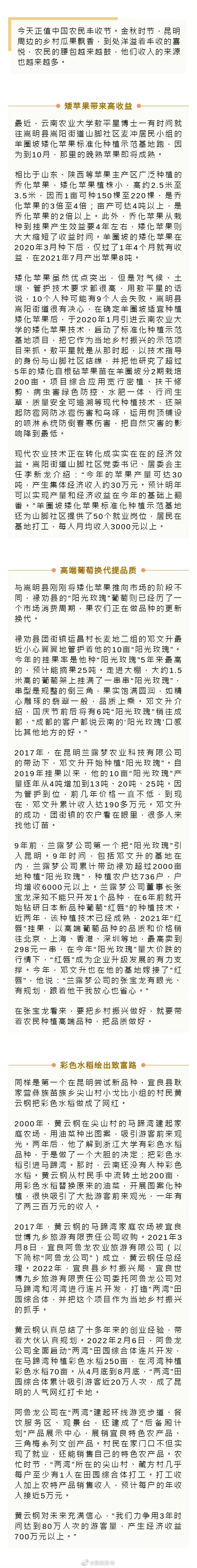 丰收节里的喜悦