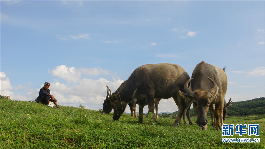 云南省文化和旅游厅