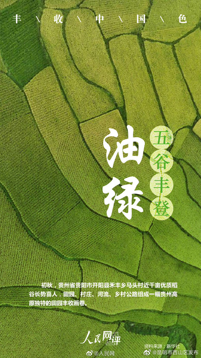 昆明市西山区发布