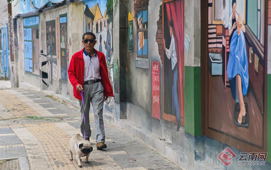 新华网云南频道