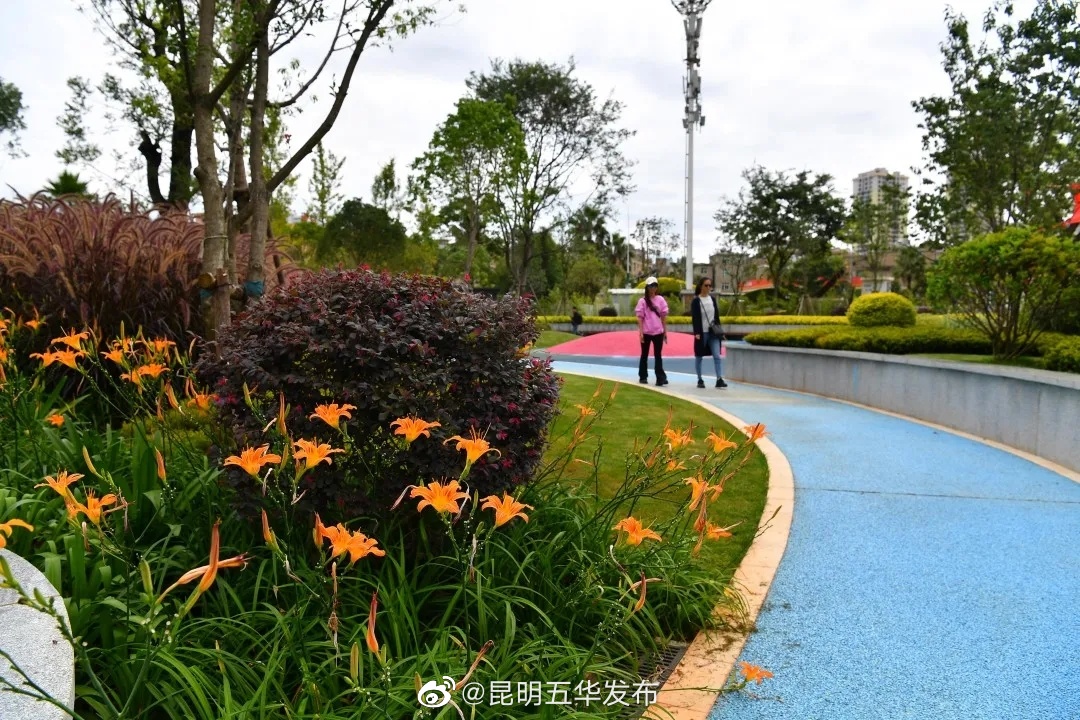 “昆明五华发布”微博