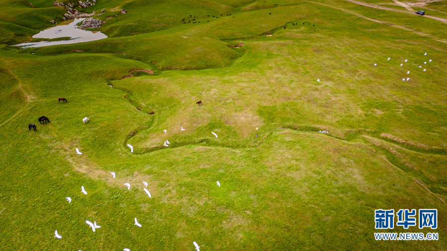 云南省文化和旅游厅