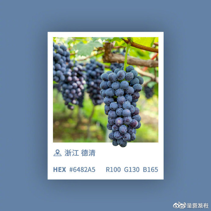 呈贡发布