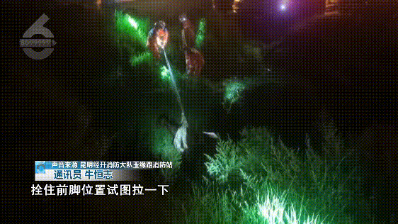 昆明信息港/cnkmxxg