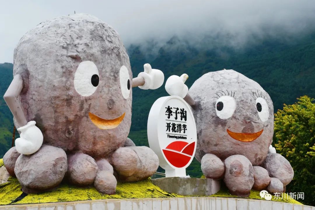 东川新闻