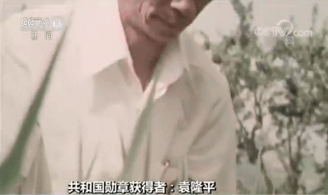 美丽云南微科普