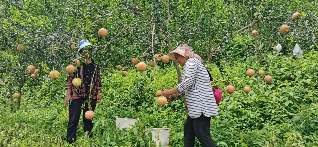 保山新闻网