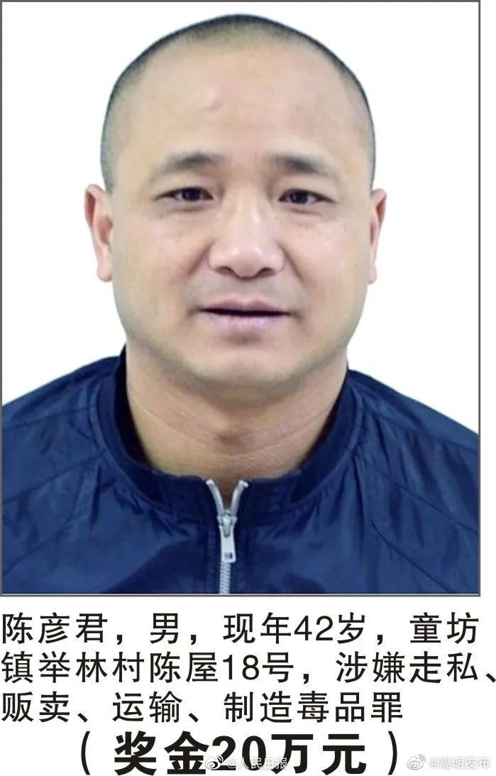 嵩明发布