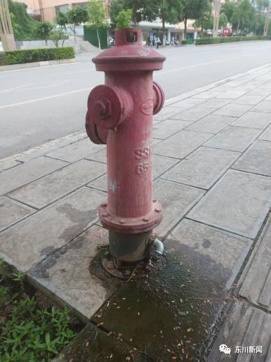 东川新闻