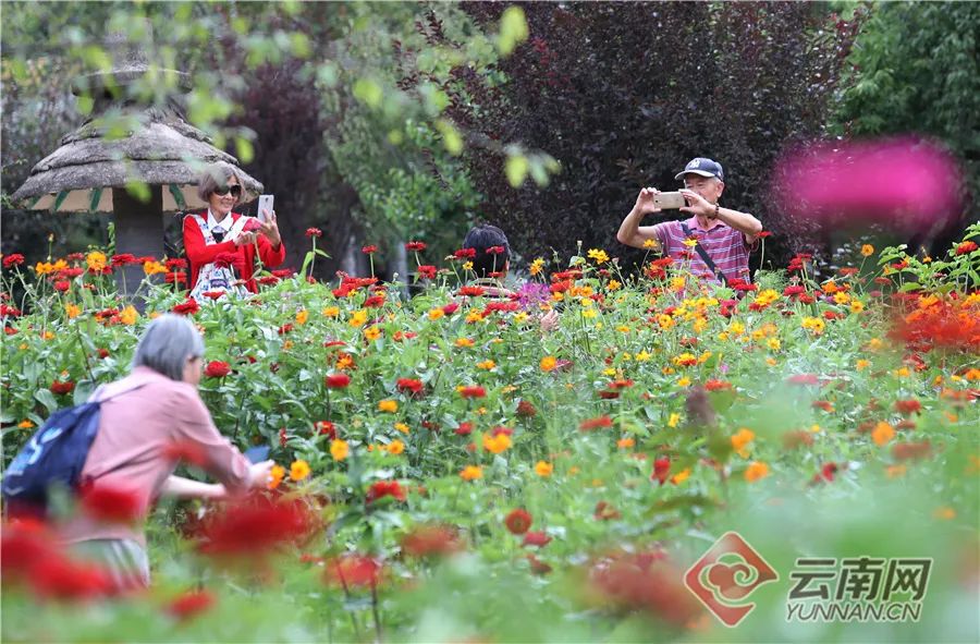 昆明国家高新区发布