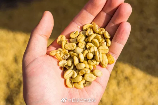 “昆明五华发布”微博