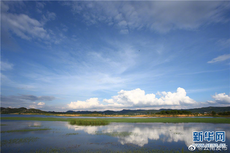 “云南发布”微博