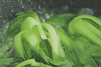 绿叶菜放冰箱别超过3天