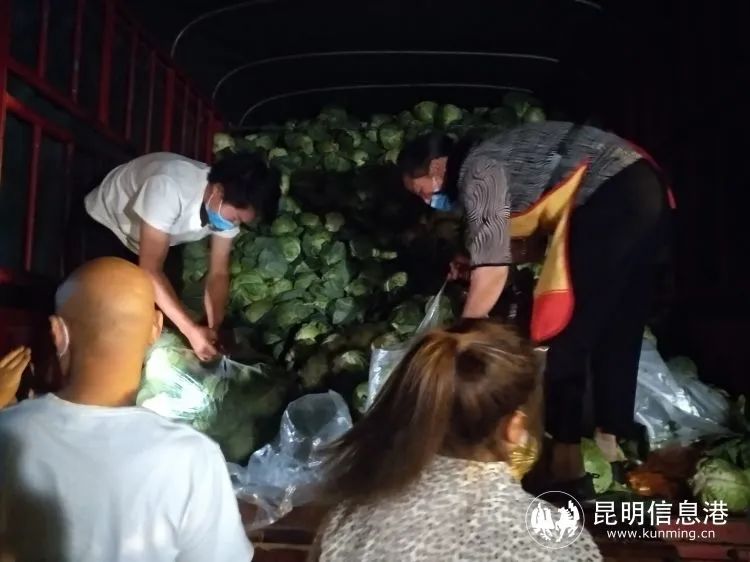 云南信息报