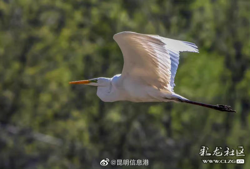 昆明信息港