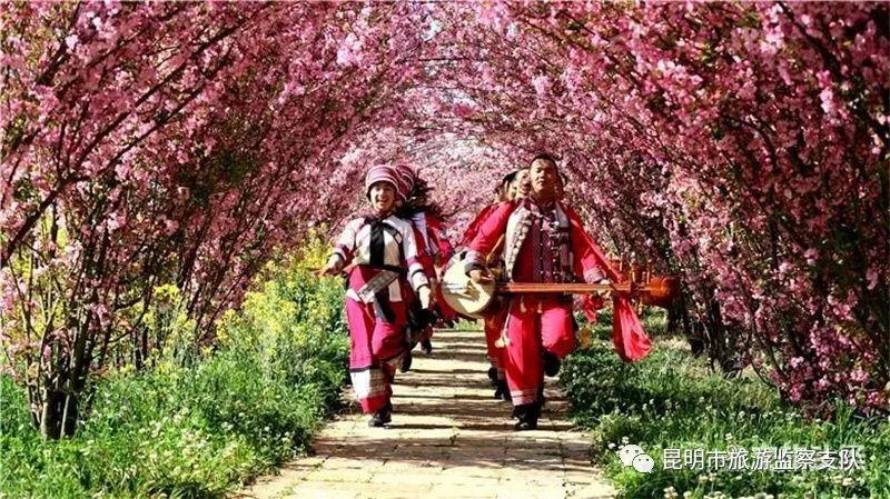 昆明市旅游监察支队