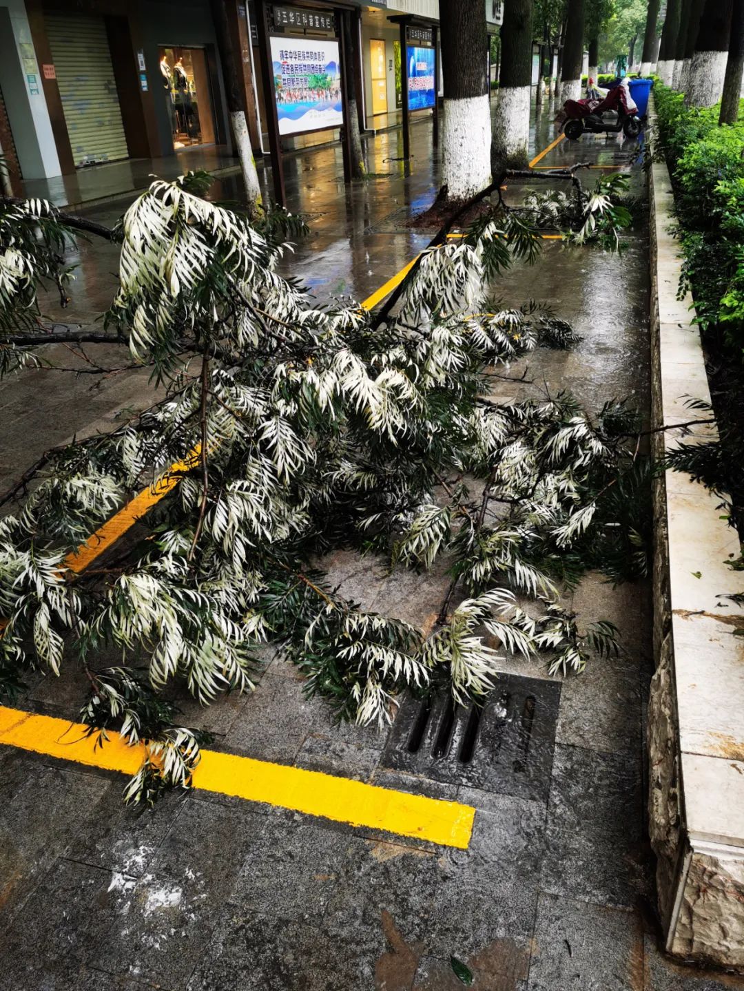 昆明五华发布