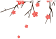 珠源先锋
