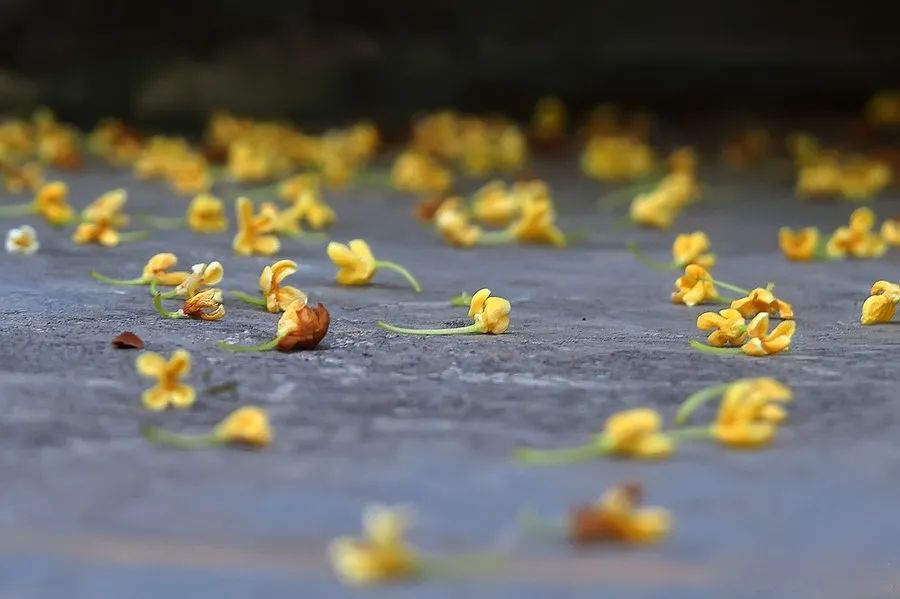 昆明文旅