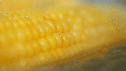 玉米怎么煮比外面卖的更香甜？