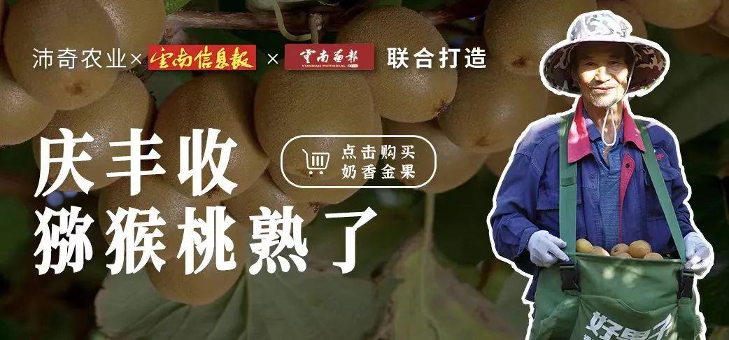云南信息报