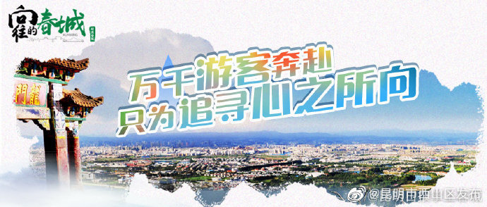 昆明市西山区发布