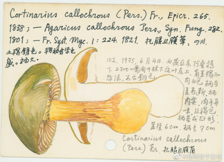 昆明晋宁发布