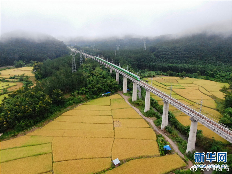 嵩明发布