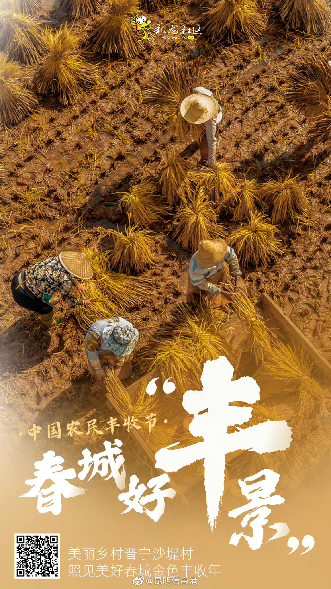 昆明信息港