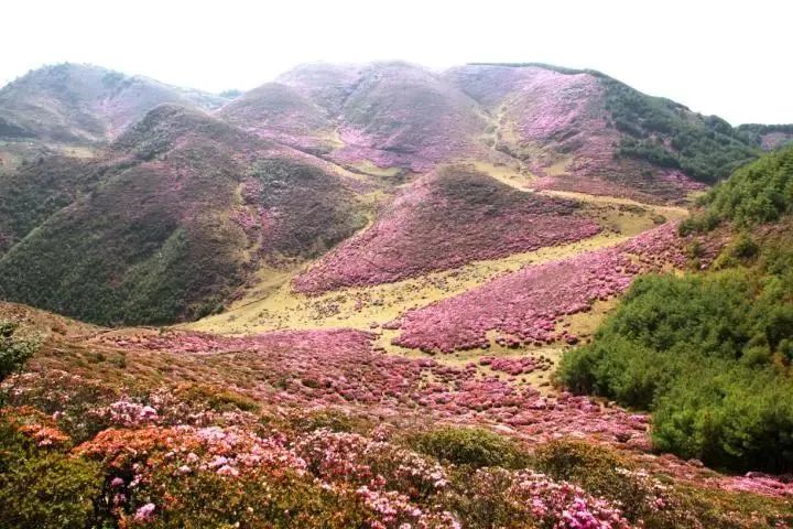 昆明文旅