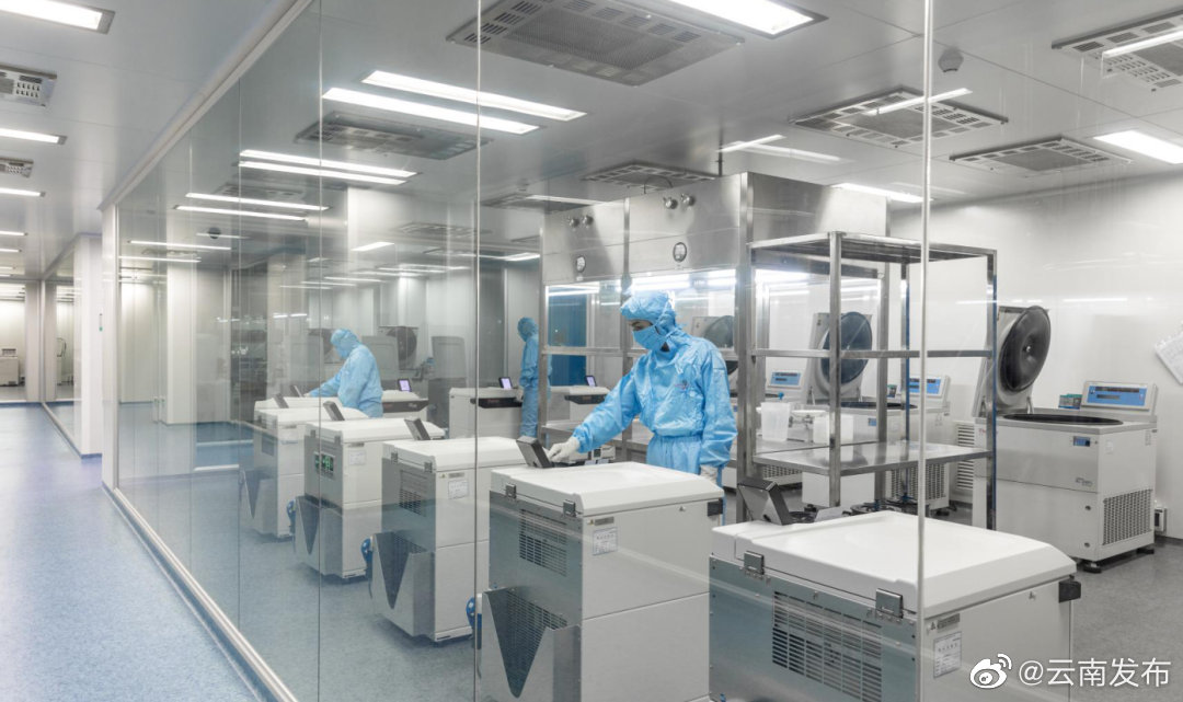 云南集中优势打造疫苗产业集群