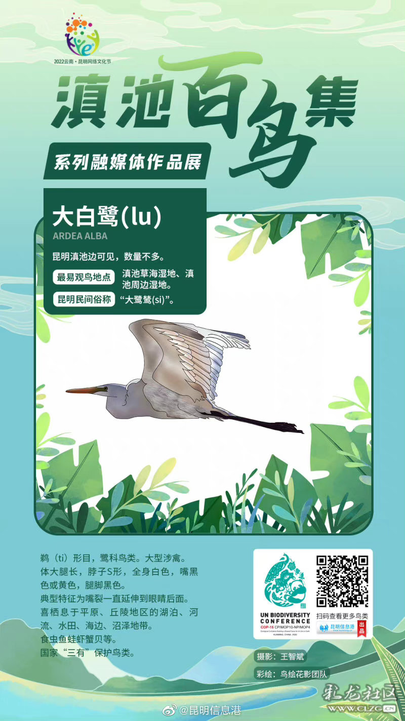 昆明信息港