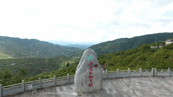 大理电视台