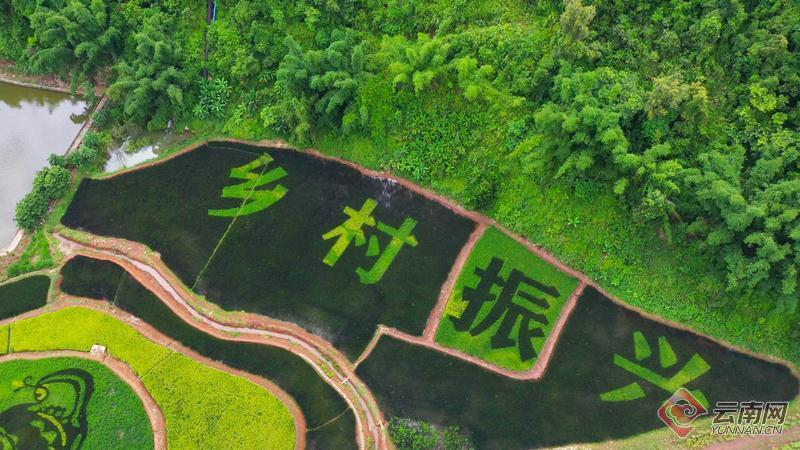 云南省文化和旅游厅