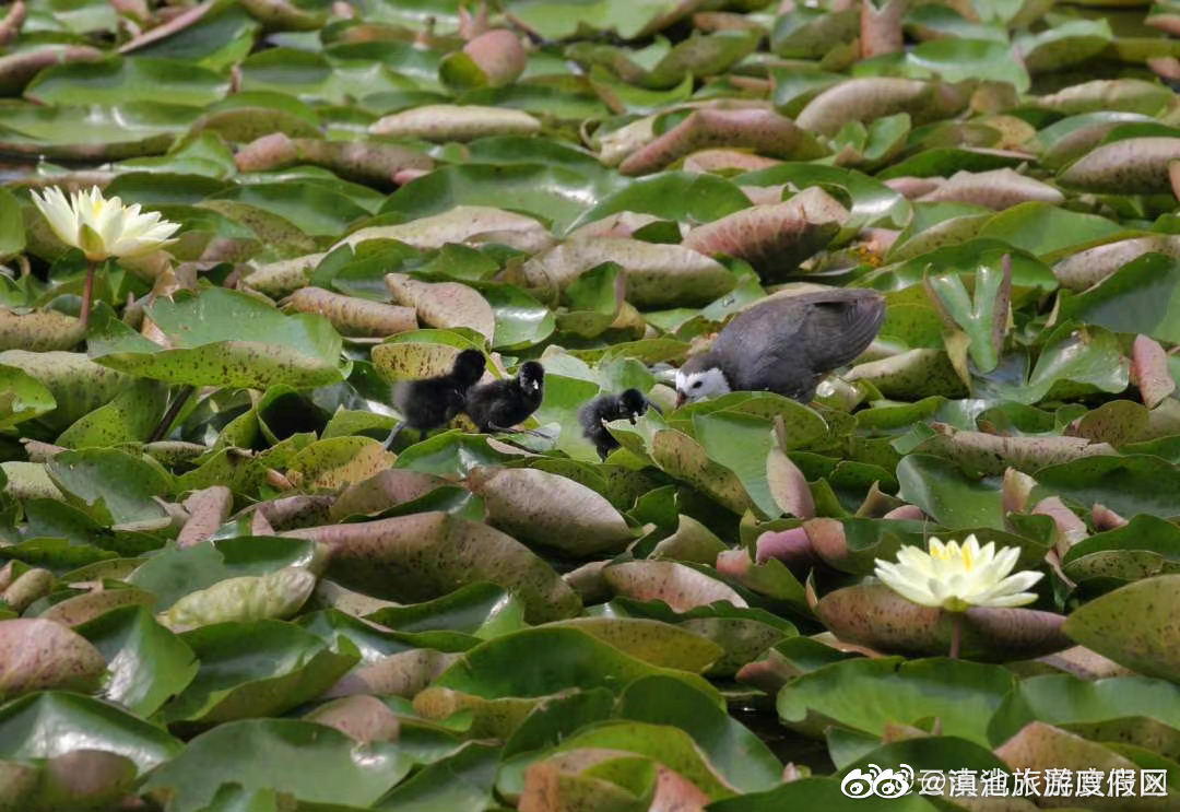 滇池旅游度假区