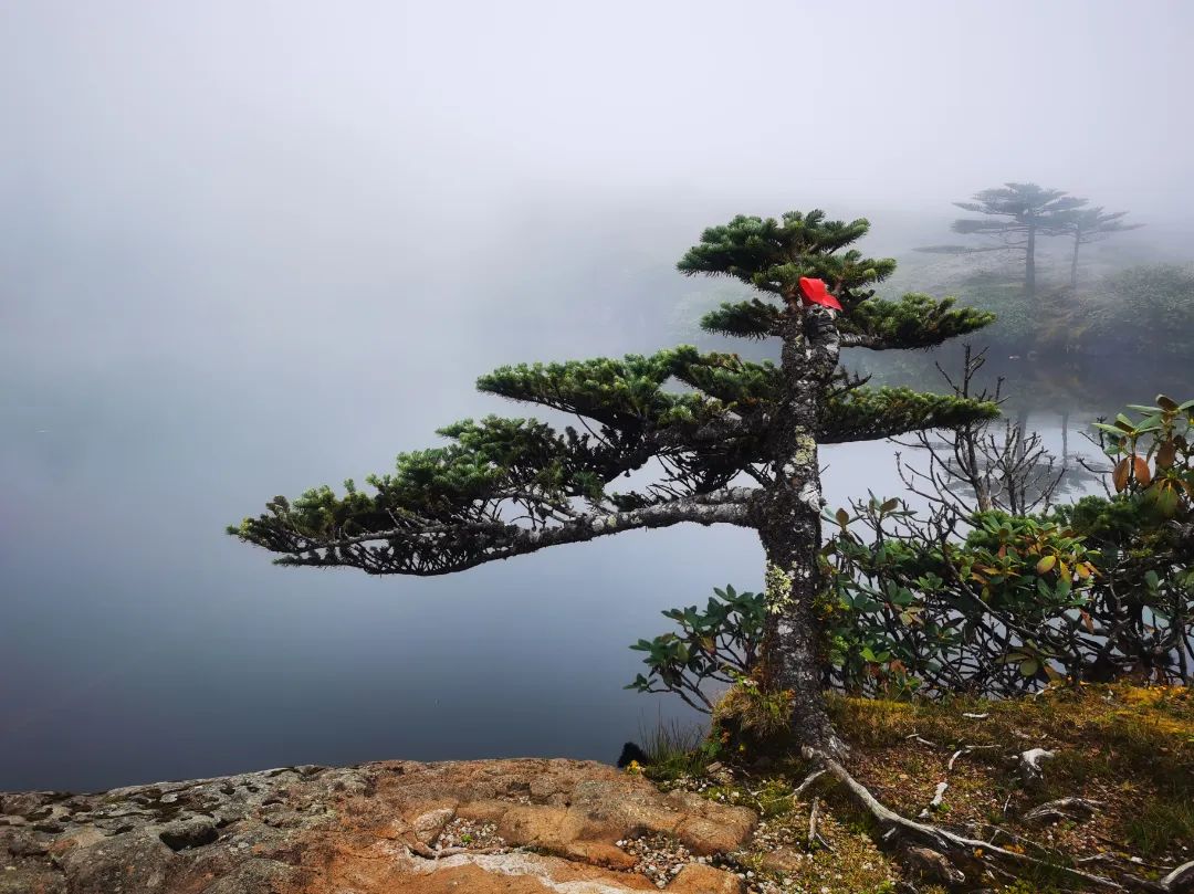 昆明轿子山旅游