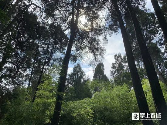昆明生态环境