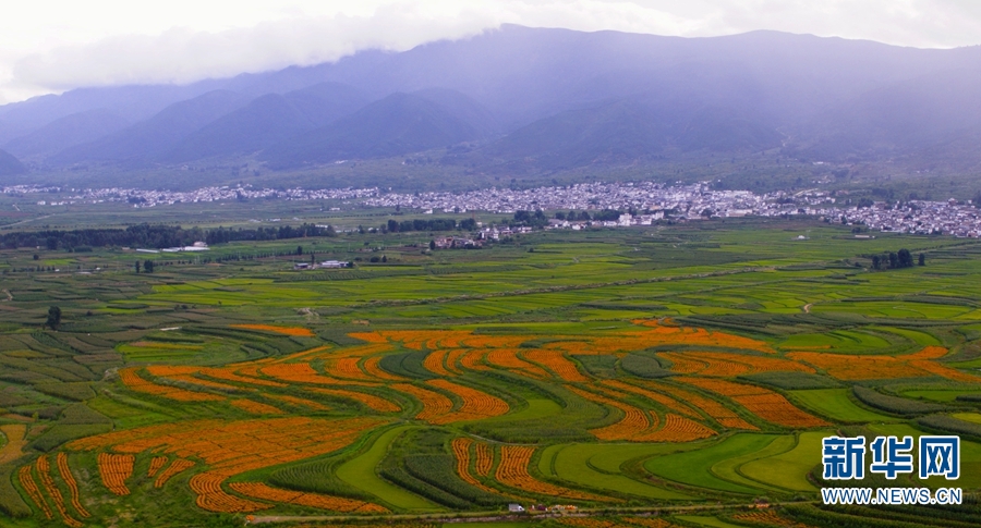 云南省文化和旅游厅