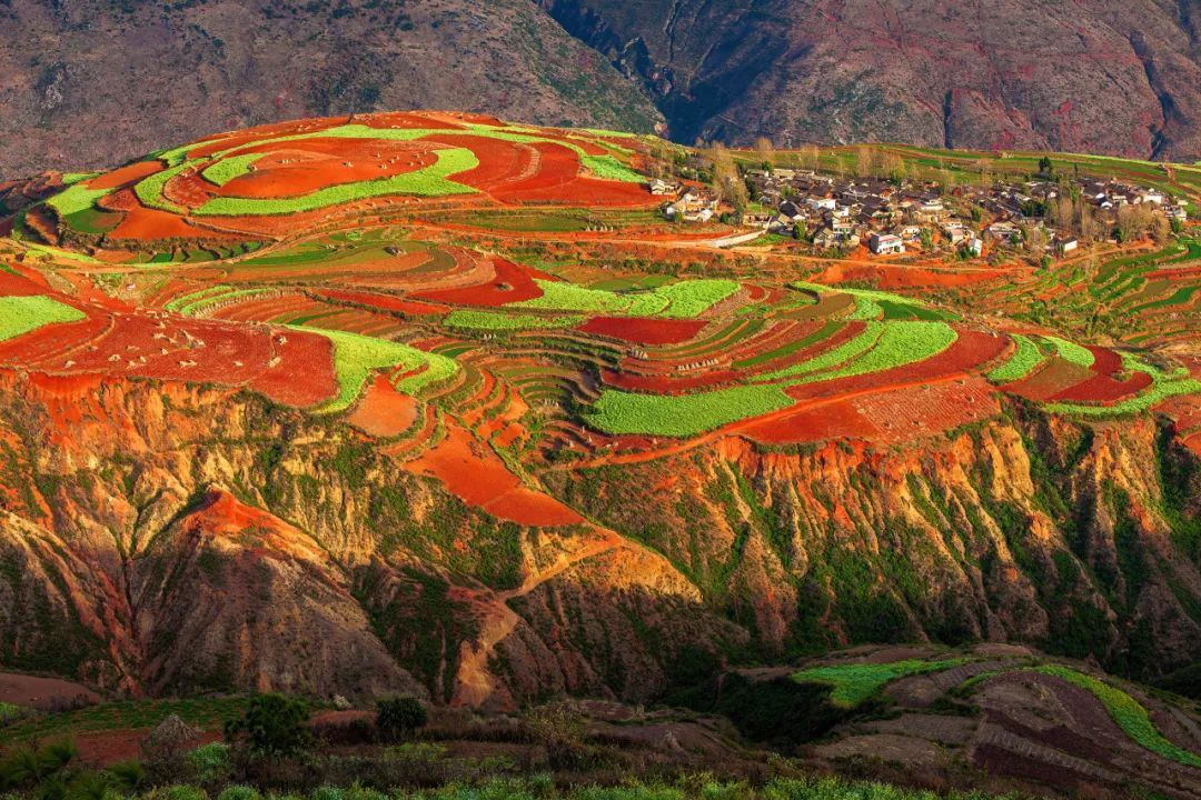 云南省文化和旅游厅