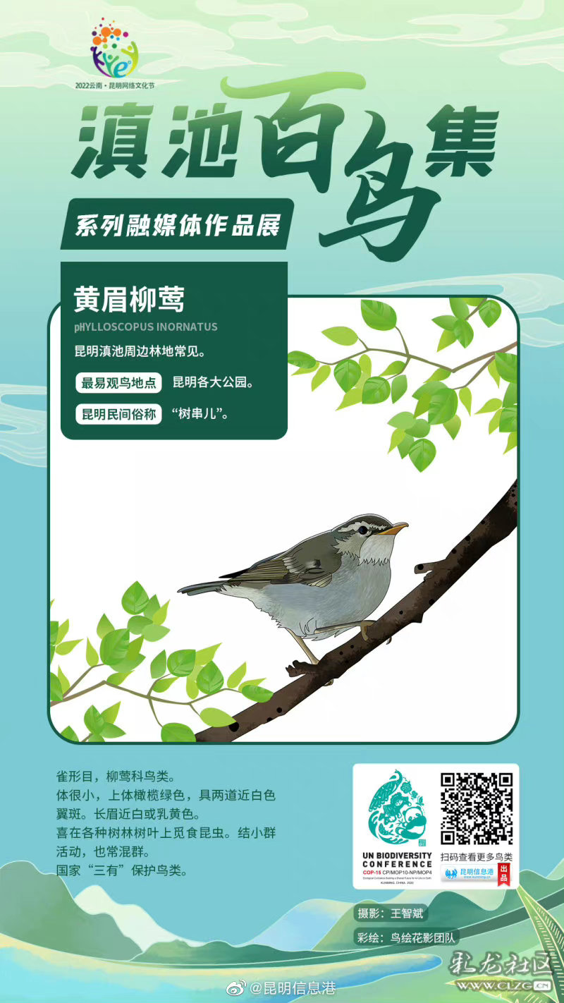昆明信息港