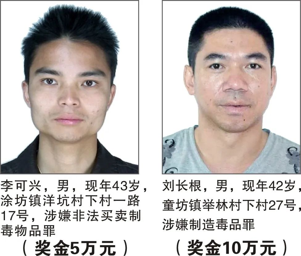 掌上春城