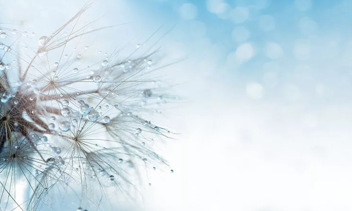 昆明公共文化云