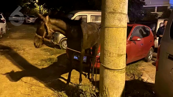 昆明信息港/cnkmxxg