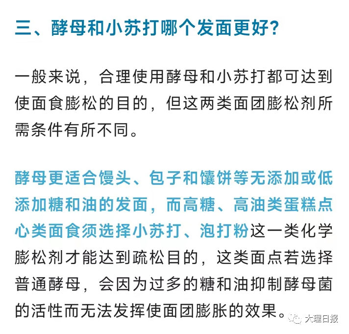 大理日报