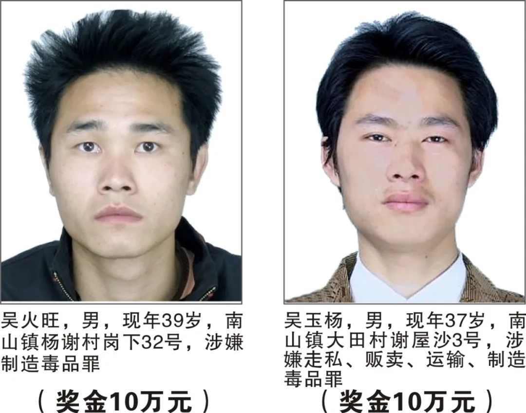 掌上春城