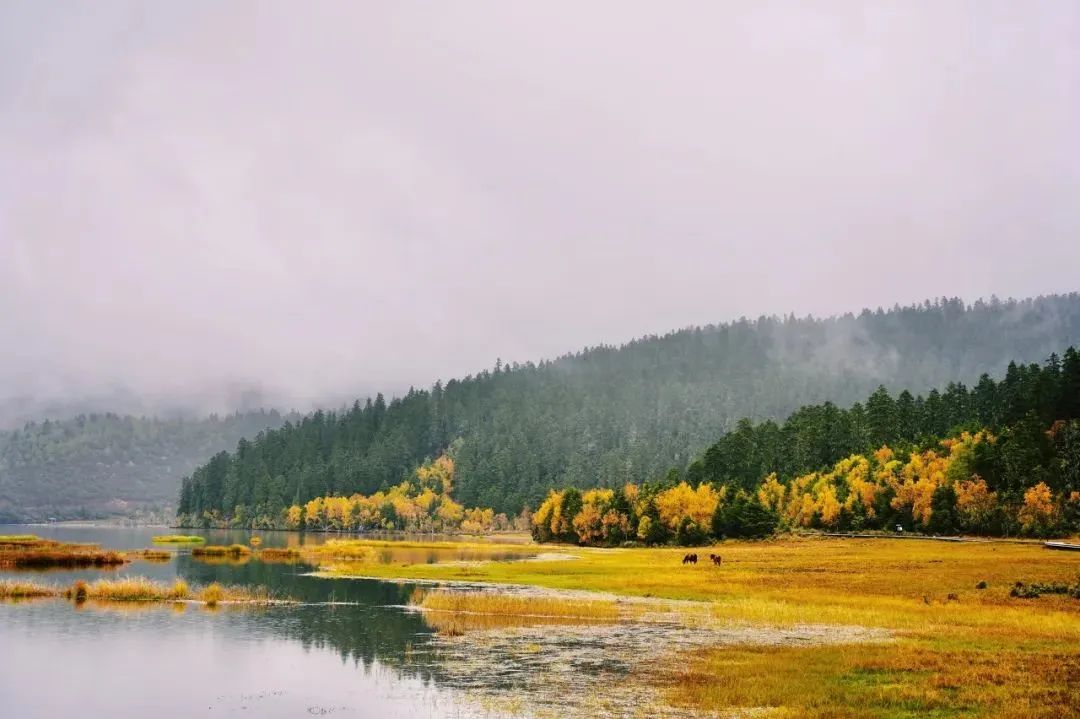 一部手机游云南