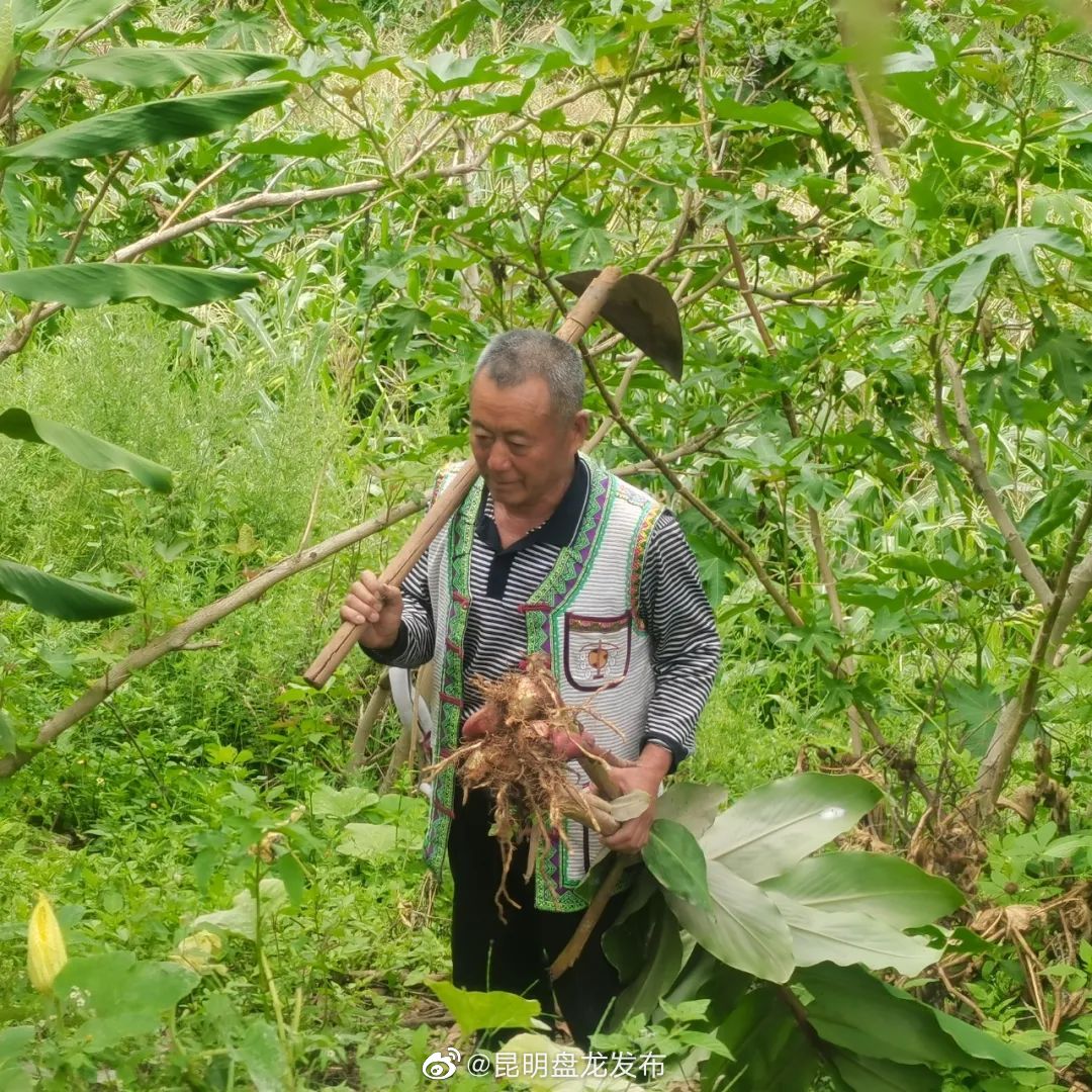 昆明盘龙发布