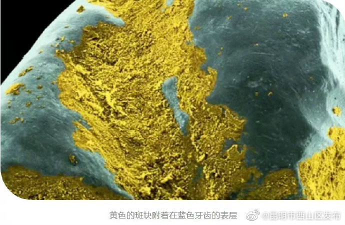 昆明市西山区发布